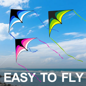 Kaiciuss delta kite blue 63-inch ideal for beginners to learn quickly