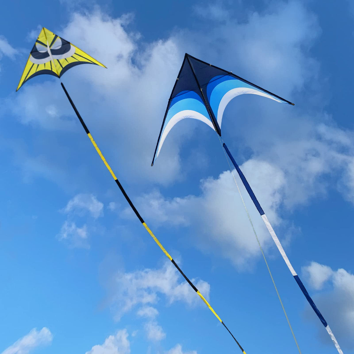 Kaiciuss Delta Kite tail 30m unfurls behind for stability and visibility