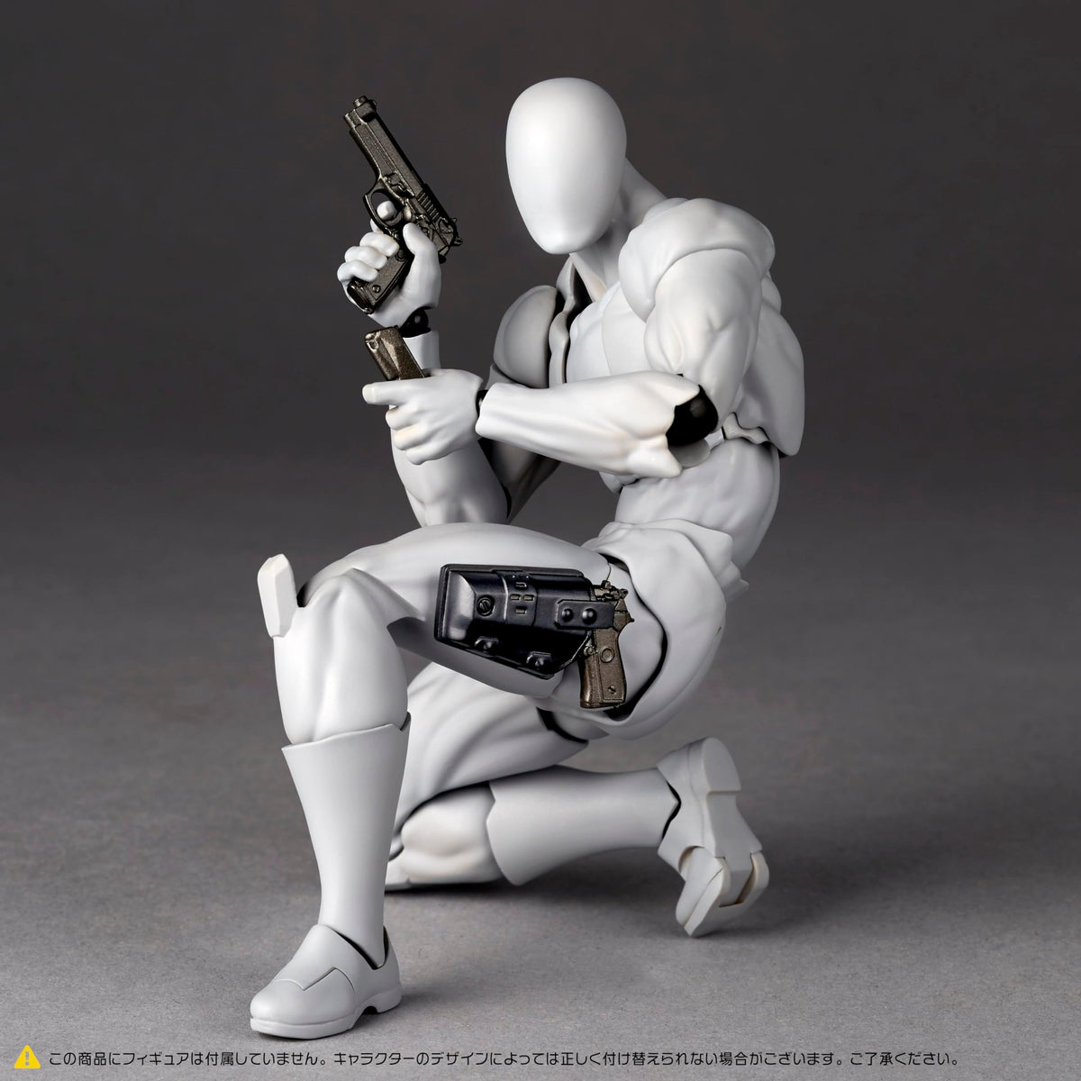 Kaiyodo Revoltech compatibility notes for various character designs.