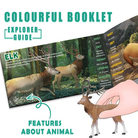 KarberDark Forest Animal Set with booklet supports early biology curiosity