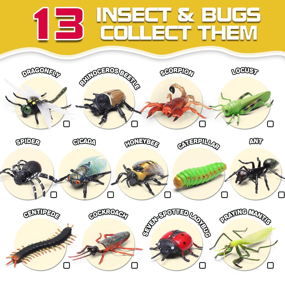 KarberDark insect education booklet for curious kids exploring habitats and behaviors.