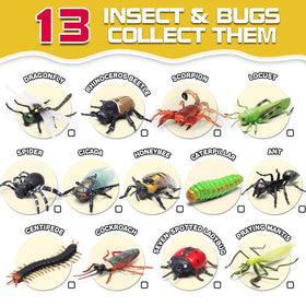 KarberDark insect education booklet for curious kids exploring habitats and behaviors.