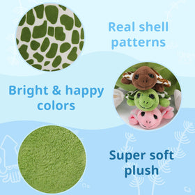 Karister turtle in kid room decor adds coastal charm