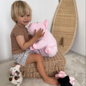 Karister pig plush packaging shown as gift-ready for birthdays.