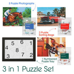 Keeping Busy 3-in-1 dementia puzzle set with six large and 18 matching pieces
