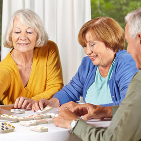 Keeping Busy Match the Dots Dominoes packaging showcases senior-friendly activity kit