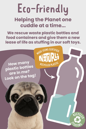 Keycraft Living Nature Pug Puppy educational tag with pup facts for curious kids