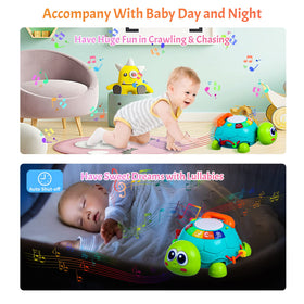 Keysense turtle teaches letters and numbers through interactive play