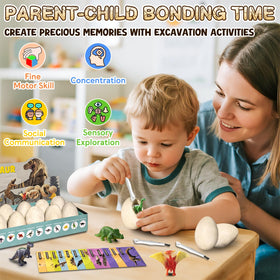 KIDS KING Dinosaur Eggs Dig Kit: display box keeps tools, eggs, and cards tidy.