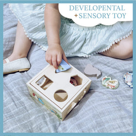 KIDS PREFERRED Peter Rabbit pieces in multicolor support sensory-rich play.