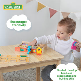 Kids Preferred Sesame Street character blocks feature beloved friends for sorting.