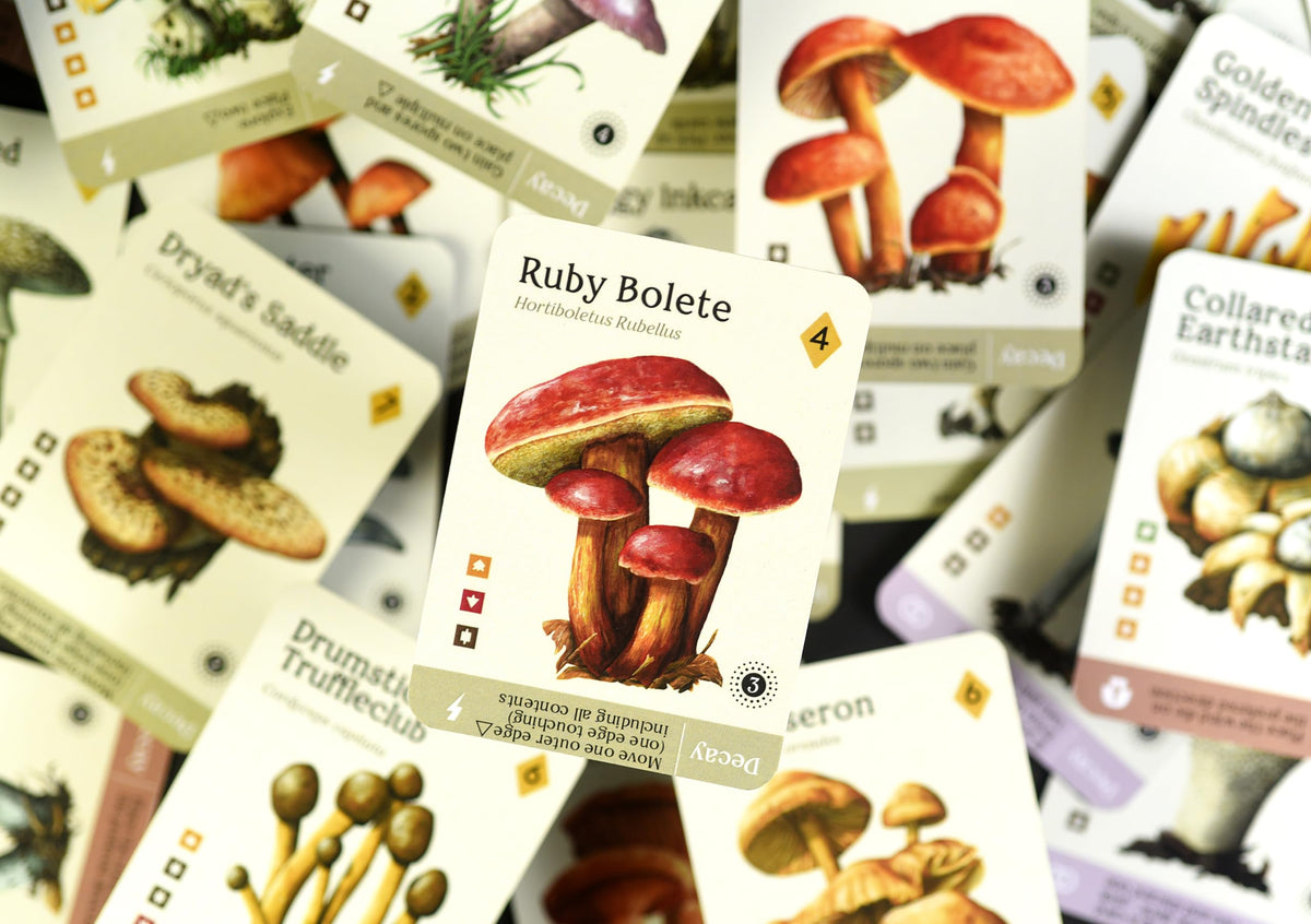 Mycelia spore decay visuals underline shifting game phases and opportunities.