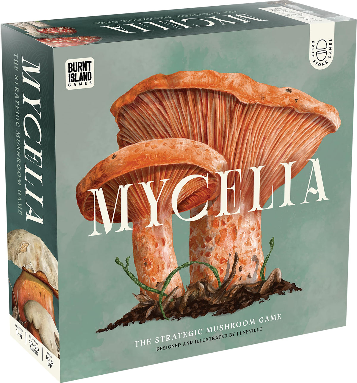 Mycelia by Kids Table Board Gaming shows a modular forest map for varied play sessions.