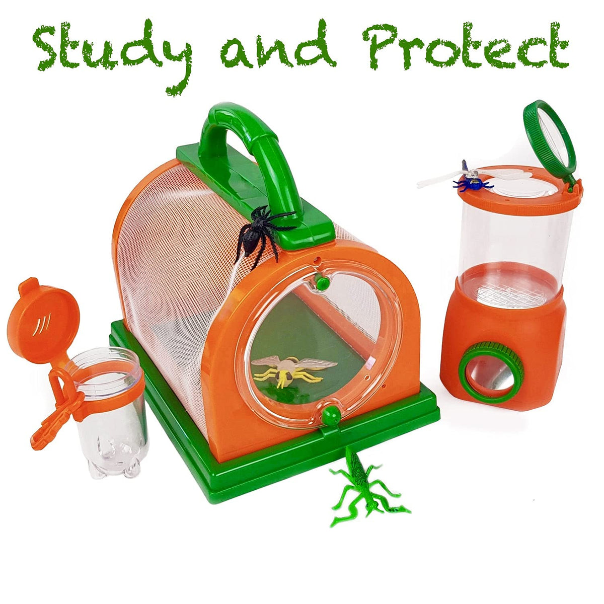 Kidz@Play large bug viewer for multi-angle viewing from above and below.