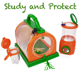 Kidz@Play large bug viewer for multi-angle viewing from above and below.