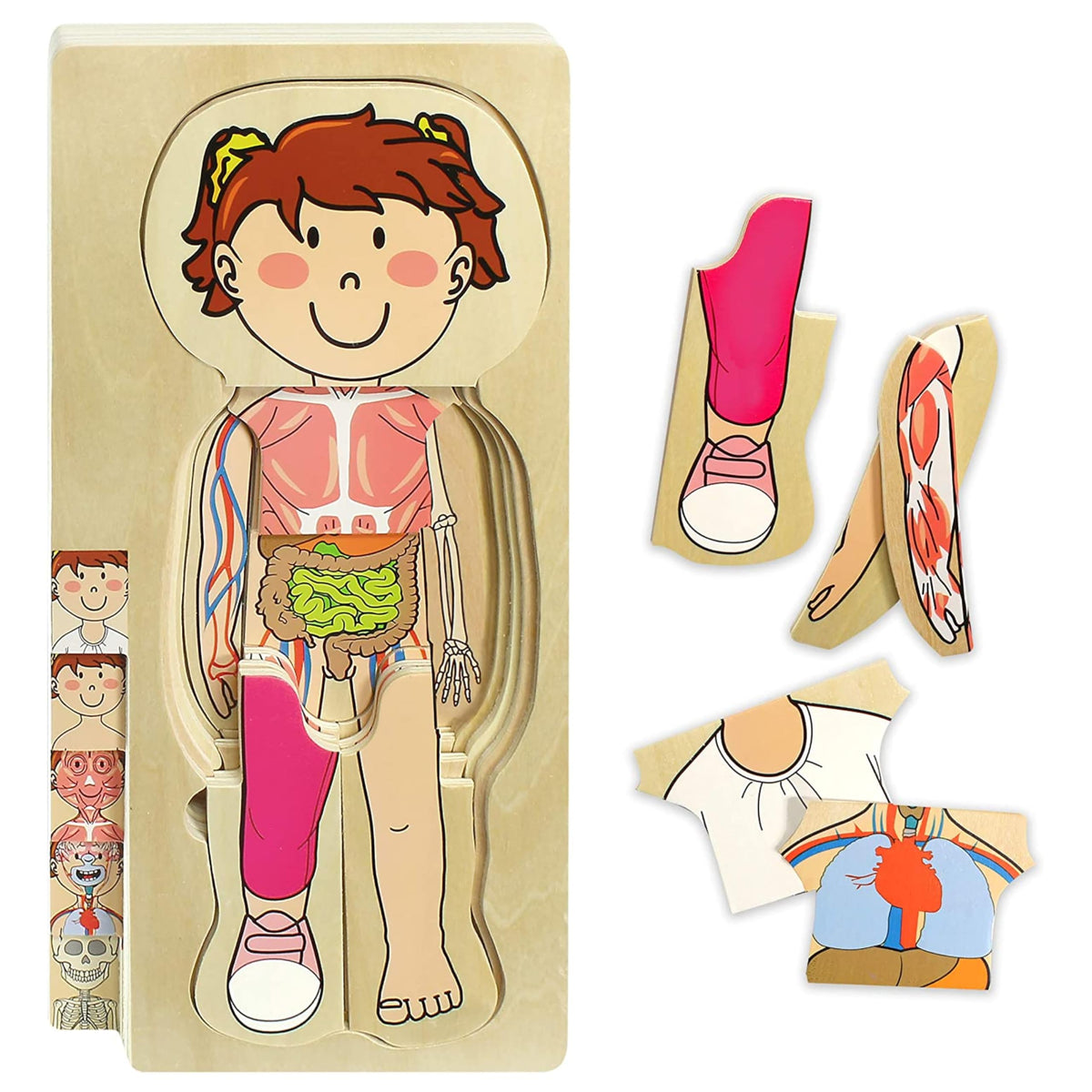 Kidzlane 29-piece wooden layered anatomy puzzle for toddlers showing bones