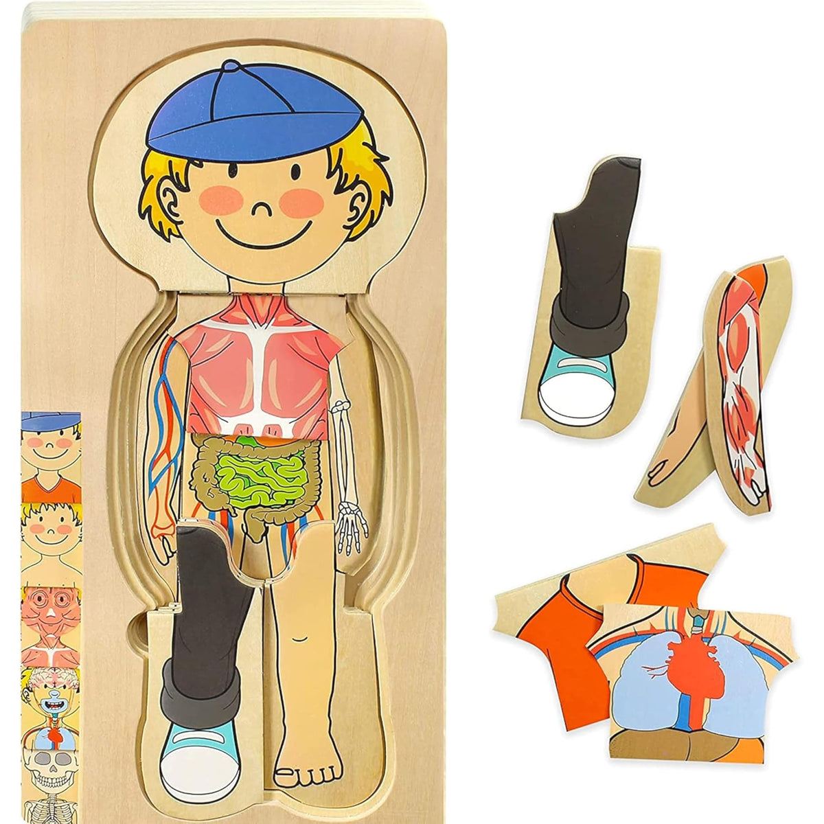 Kidzlane Body Puzzle Layered Five-Stage design for hands-on anatomy exploration