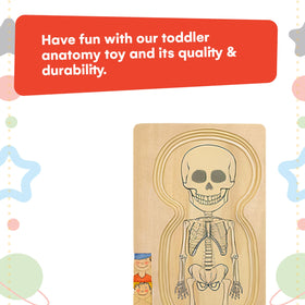 Kidzlane gift idea anatomy puzzle ideal for birthdays or classrooms