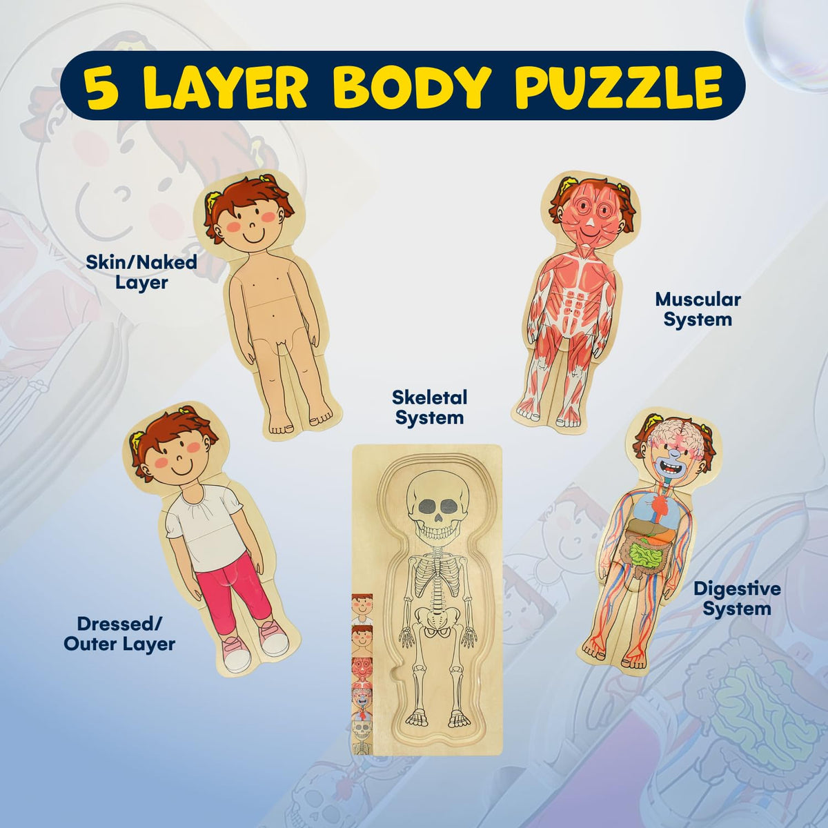 Kidzlane layered digestive system puzzle illustrating organs for discovery