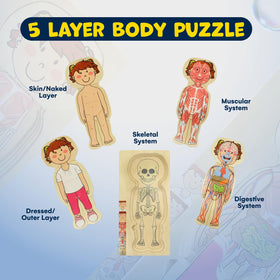 Kidzlane layered digestive system puzzle illustrating organs for discovery