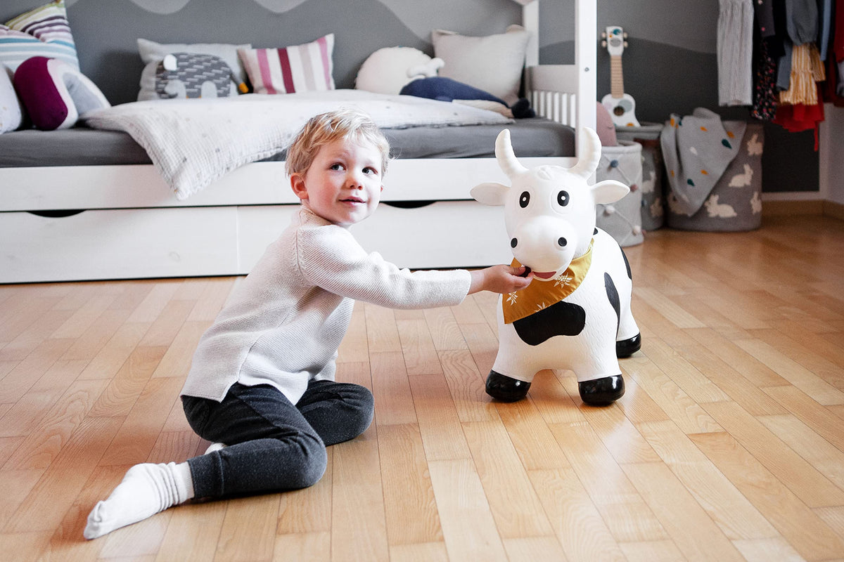 Kindsgut animal-design variety bouncy hop offers multiple options for kids' play.