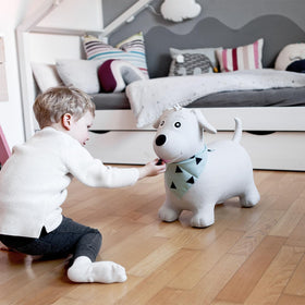 Kindsgut Bouncy Animal Hopper dog variant enhances coordination for active toddlers.