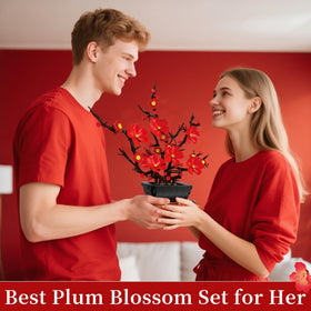 Kiothdre Plum Blossom assembly kit provides a focused, rewarding build for adults.