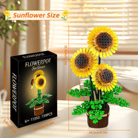 Kiothdre sunflower gift idea – a meaningful token for loved ones on special occasions.