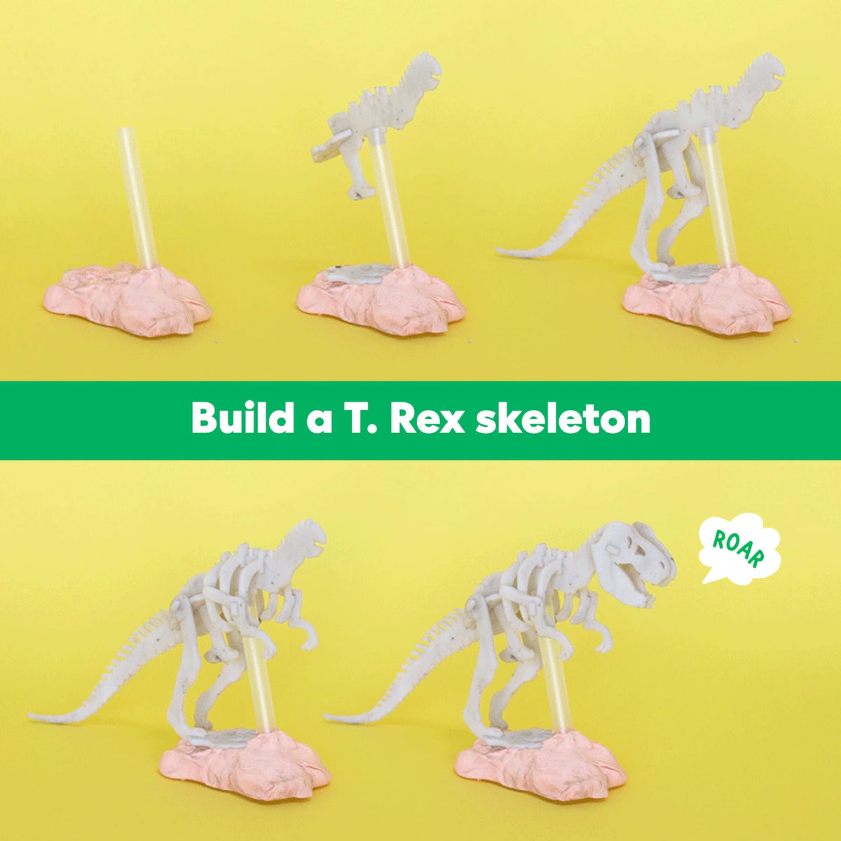 KiwiCo Dinosaur Fossil Dig Kit education-resources supporting family science exploration