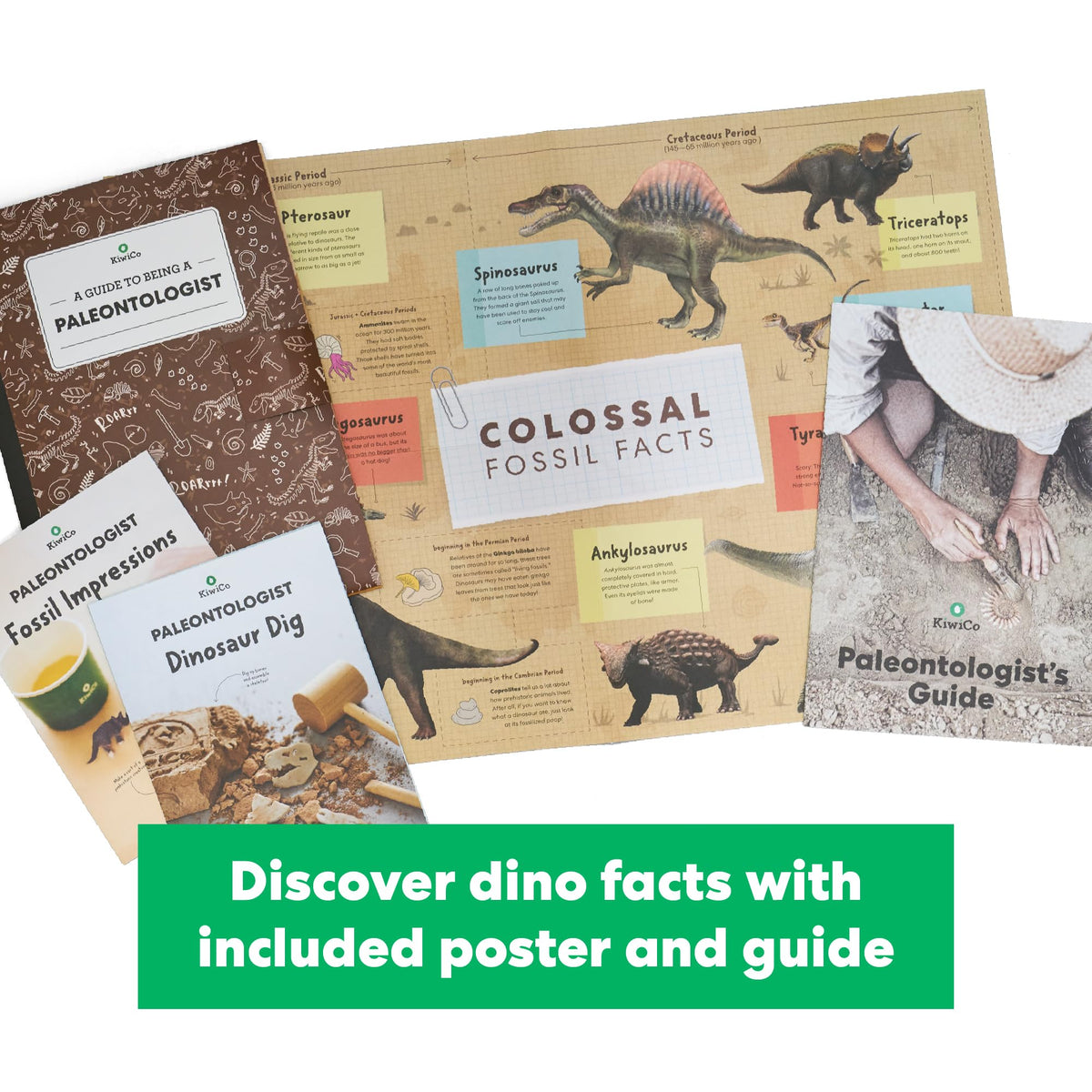 KiwiCo Dinosaur Fossil Dig Kit excavation-area scene for at-home learning