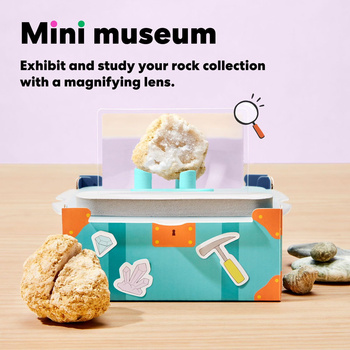 KiwiCo display case keeps findings organized and ready for science storytelling.