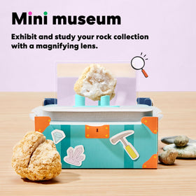 KiwiCo display case keeps findings organized and ready for science storytelling.