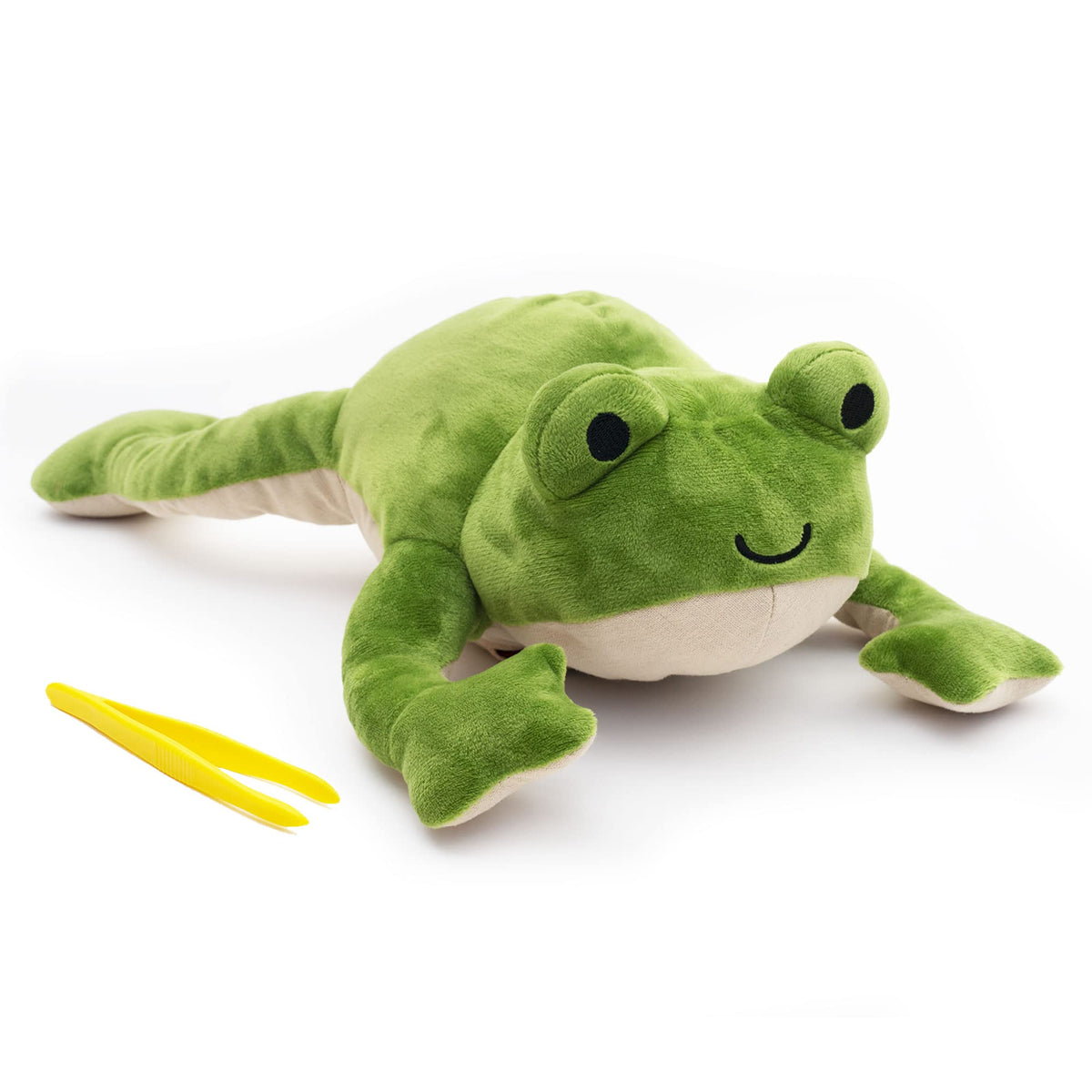 KiwiCo Froggie anatomy cards teach frog biology through interactive play.