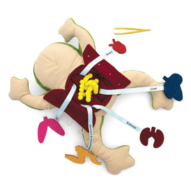 KiwiCo Froggie diagnosis game cards encourage reasoning and discovery.