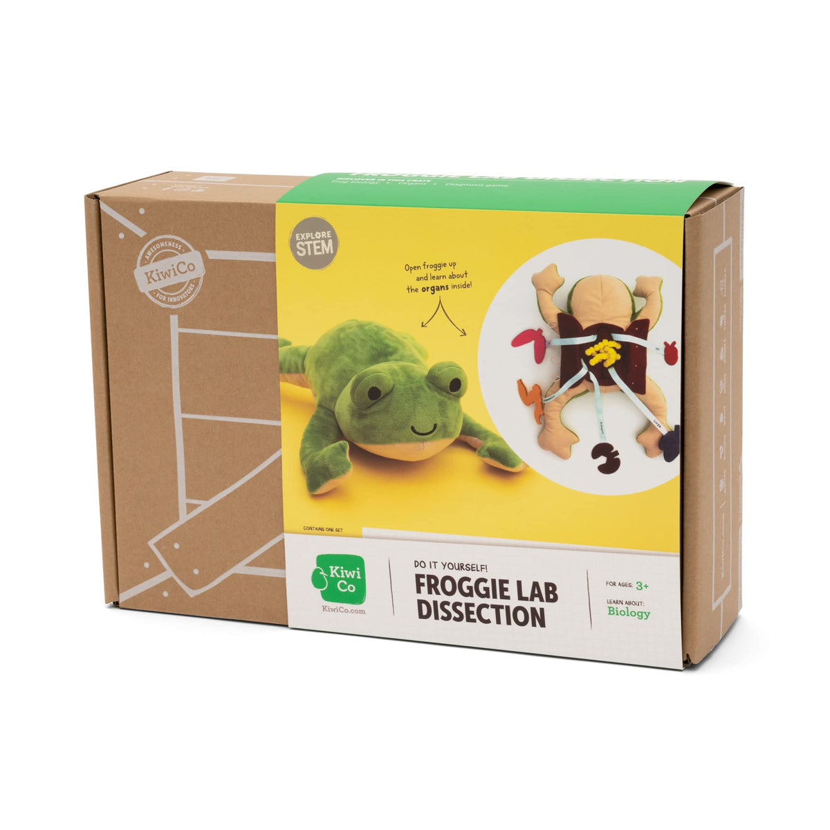 KiwiCo Froggie gift-ready box makes a convenient science gift.