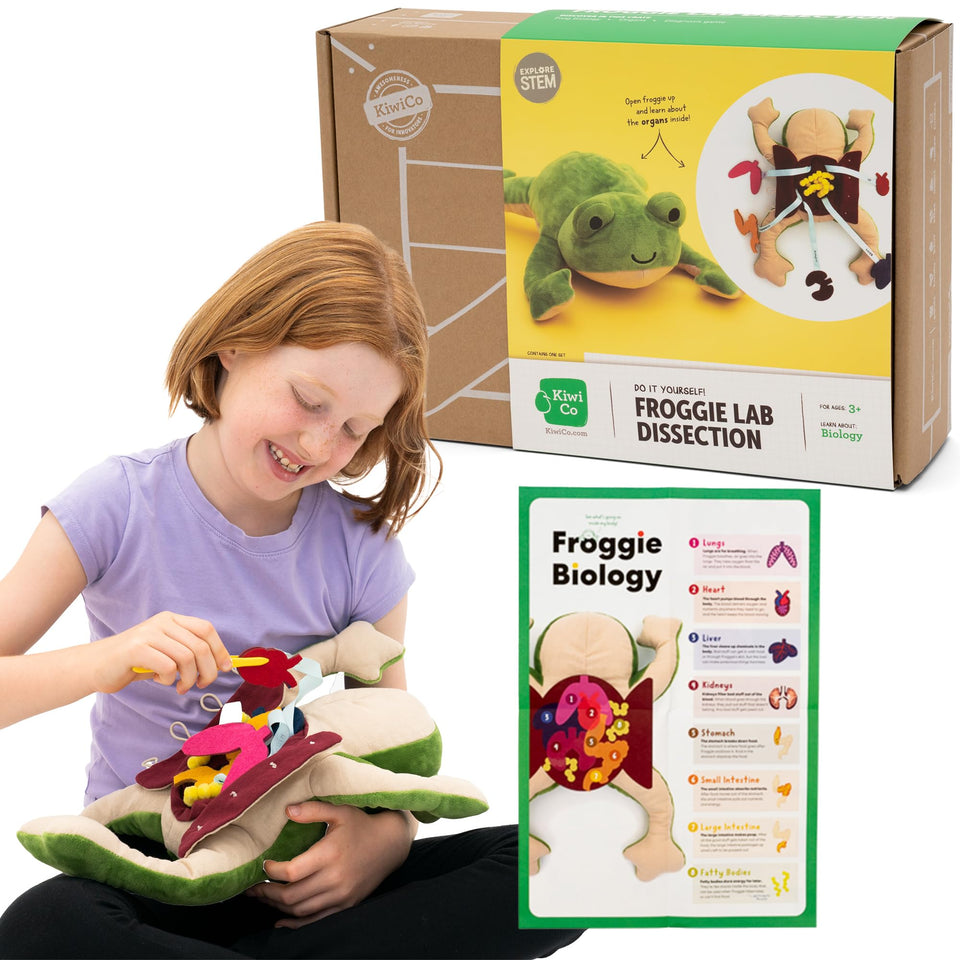 KiwiCo Froggie lab dissection plush for safe, imaginative science play.