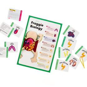 KiwiCo Froggie life cycle facts spark curiosity about frogs.