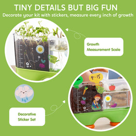 Klever Kits JOVA hydroponic vs soil setup demonstrates growing environments