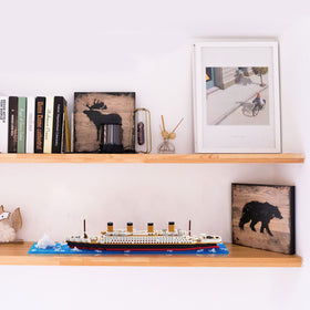 KLMEi detailed 3D art display—perfect centerpiece for home or office
