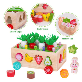 KMTJT learning toy set invites shared play and imaginative discovery.