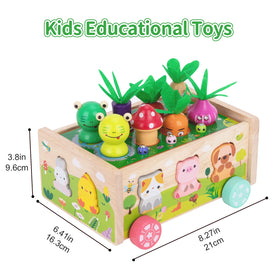KMTJT wooden worms help develop dexterity during sorting and fitting games.