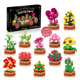 KOJAYHOL 12-pack flowers succulent models for decorative shelves and calm, hands-on play.