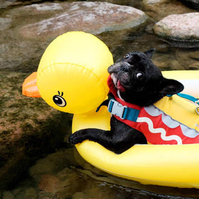 KUCDBUN dog pool float inflated for water playtime