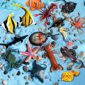 Kukifun starfish figure adds color to craft trays and bath time fun