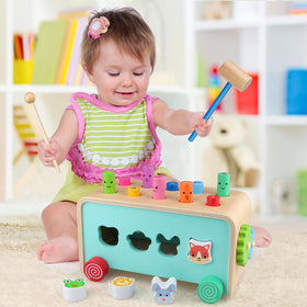 LAAVII animal shape sorter promotes color and shape recognition