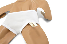 Laerdal Mini Baby Global Set Express bag keeps training gear organized and portable.