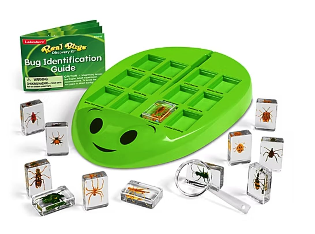 Lakeshore Real Bugs Discovery Kit: acrylic-encased specimens for safe close-up insect study.