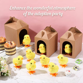 LaRandom easy-assembly adoption box, quick setup for organized party favors.
