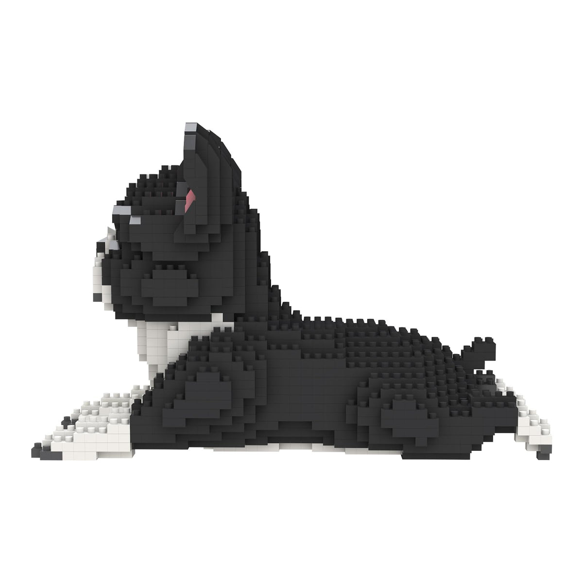 Display-ready mini dog build captures a charming tabletop scene.