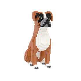 Larcele Boxer model during step-by-step layer build process.